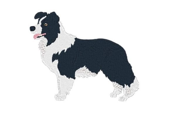 Border Collie-0410 Embroidery Design